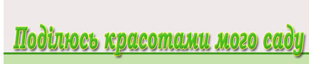 логотип - поділюся красотами мого саду