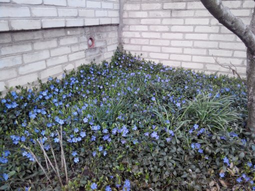 20160405195634.jpg